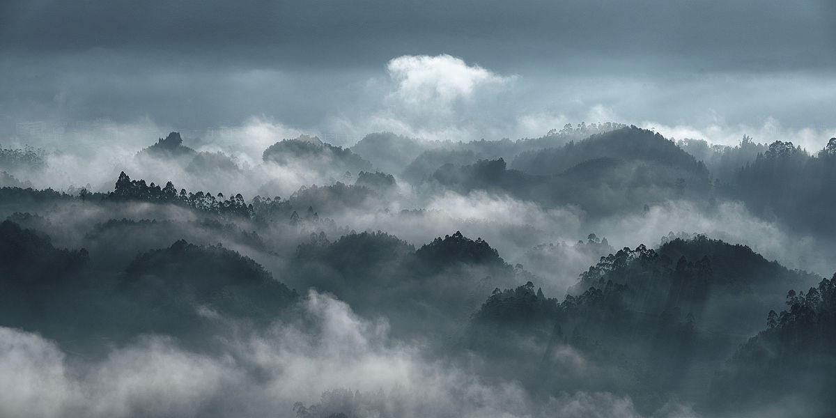 重庆阳光培训学校2019年招生简章 - 提升学习能力，成就未来栋梁