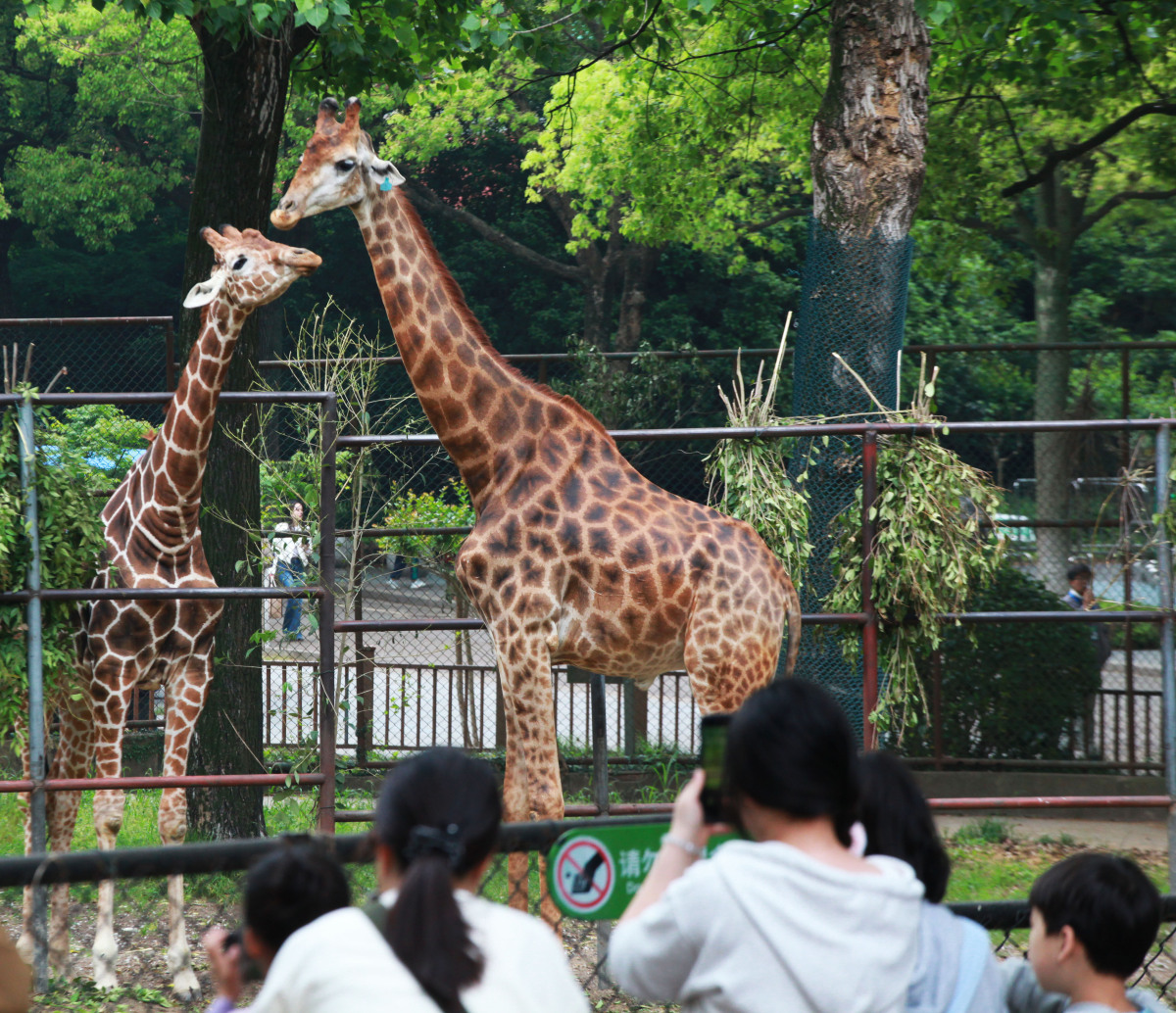 今天给大家介绍一个景点