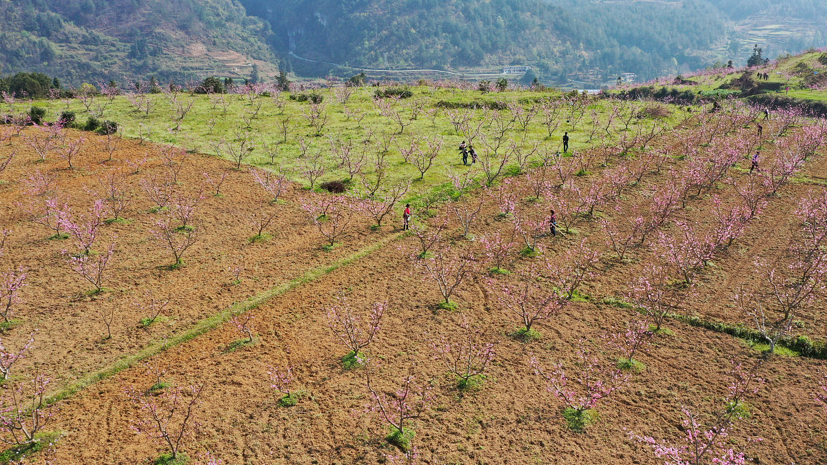 黔西南中专学校排名top5用