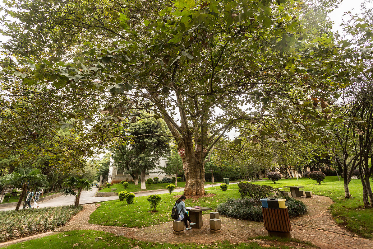 云南2022年有哪些卫校比较好就业