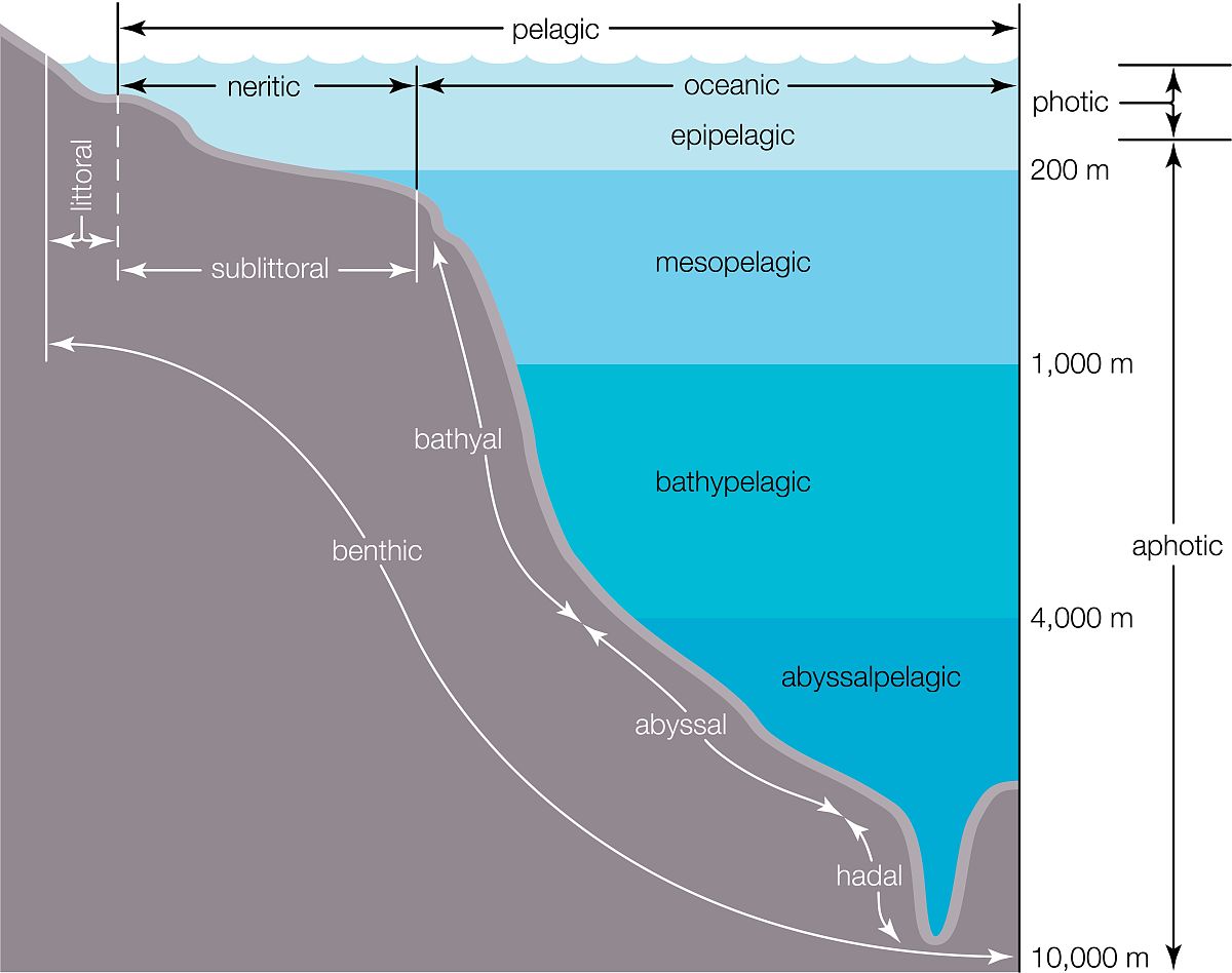 Assume we use the 14-bit floating -point model with 1 sign bit for the number and 5 bits for the exponentShow the process for finding the result of -12×01875