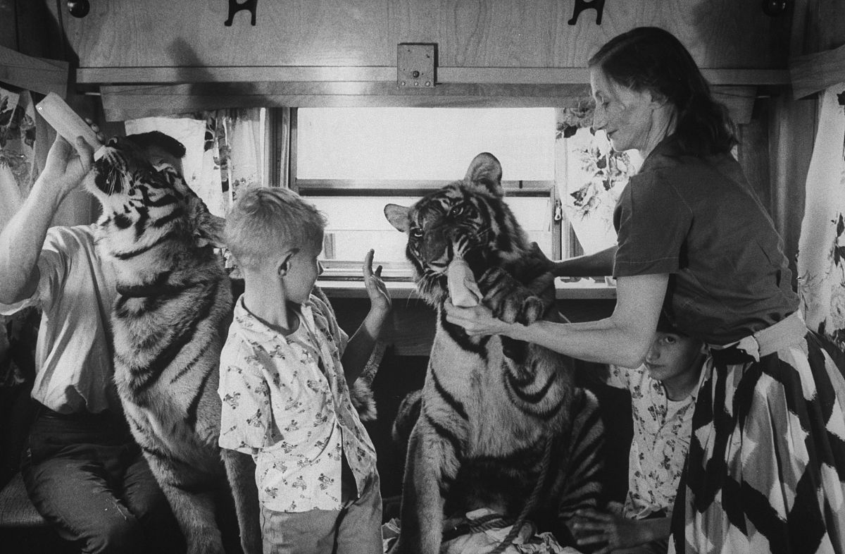 切尔诺贝利事件：处理方法与应对措施