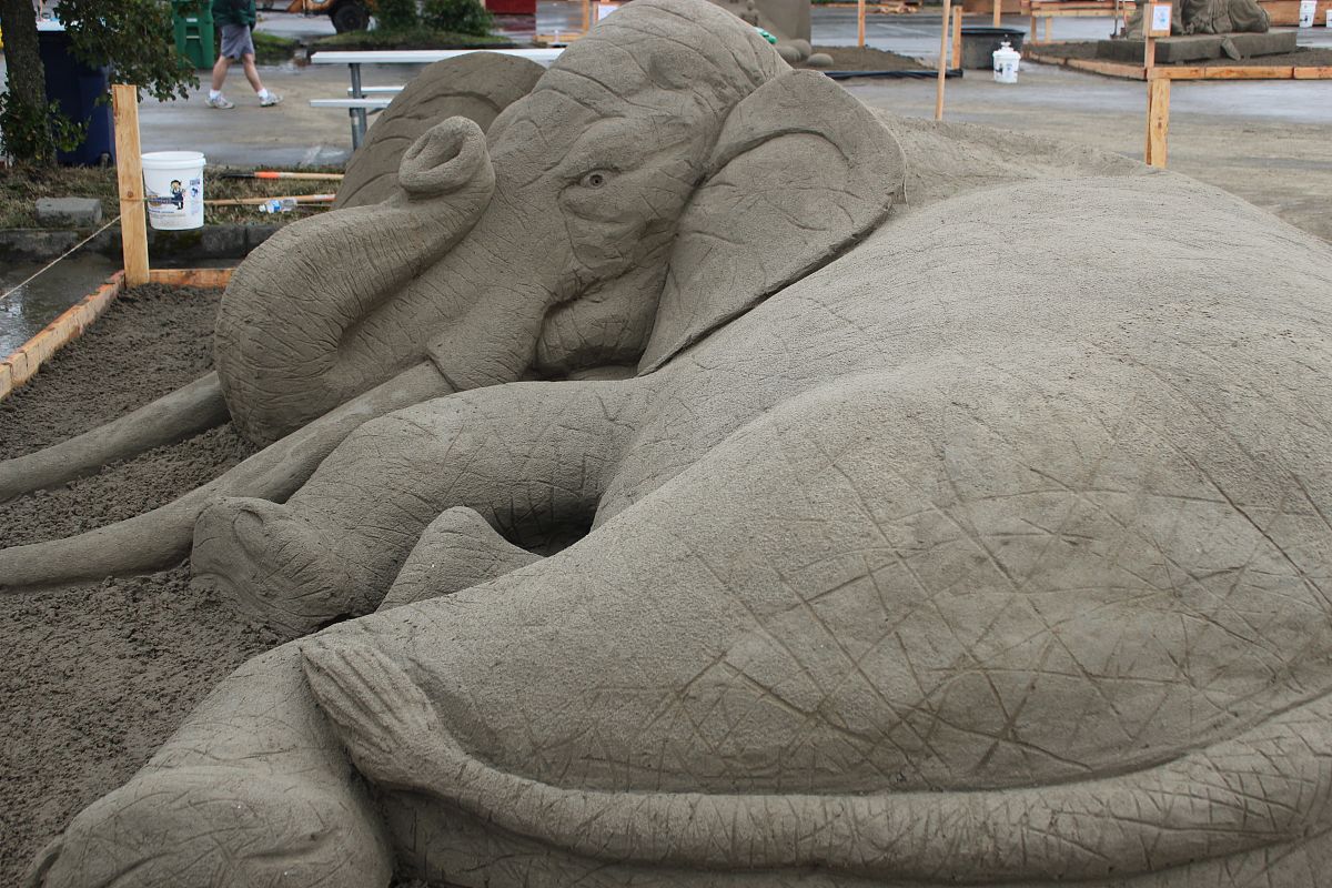 丽水中等专业学校艺术教育专业未来薪酬和发展趋势