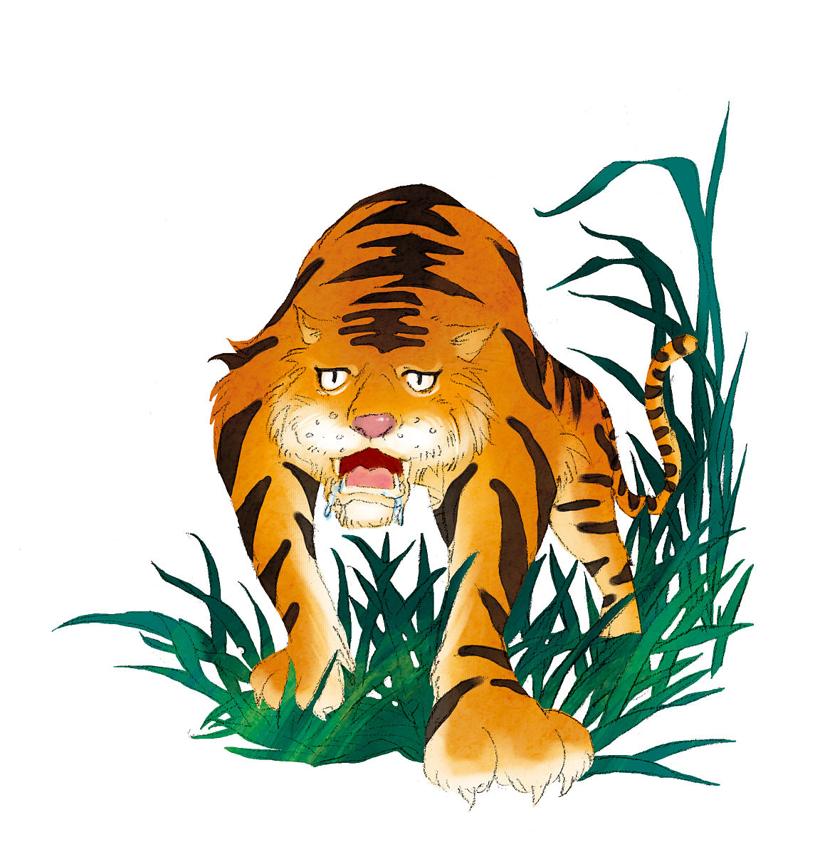 生肖虎 - 了解你的性格特点、运势及人生建议