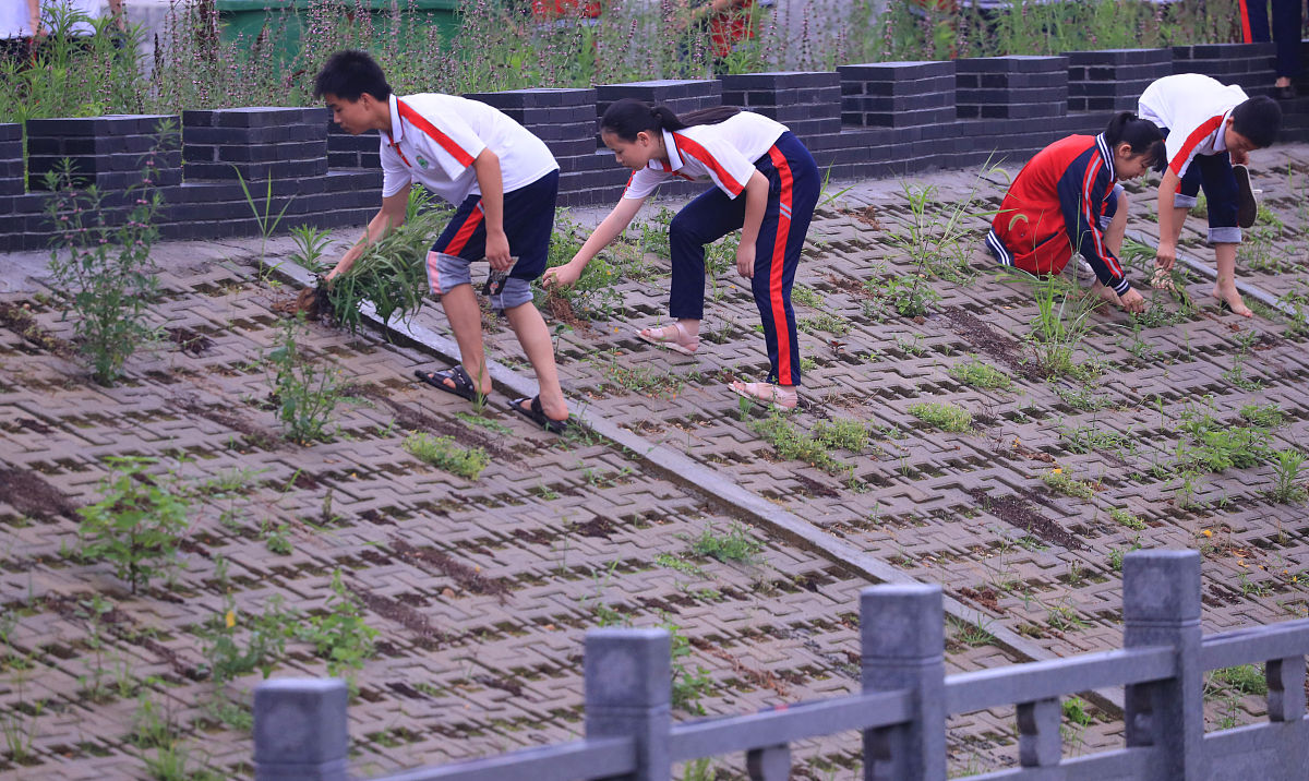 初中劳动教育标题