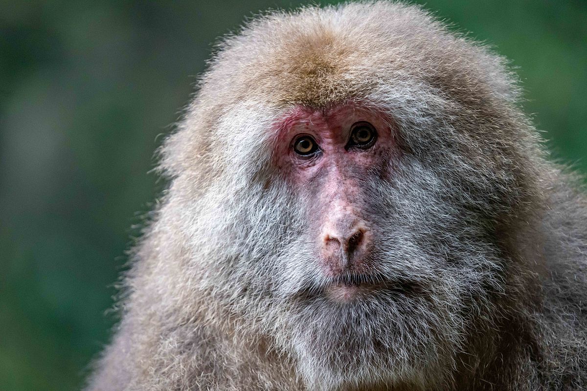 乐山卫校排名：2022年乐山最好的学卫校