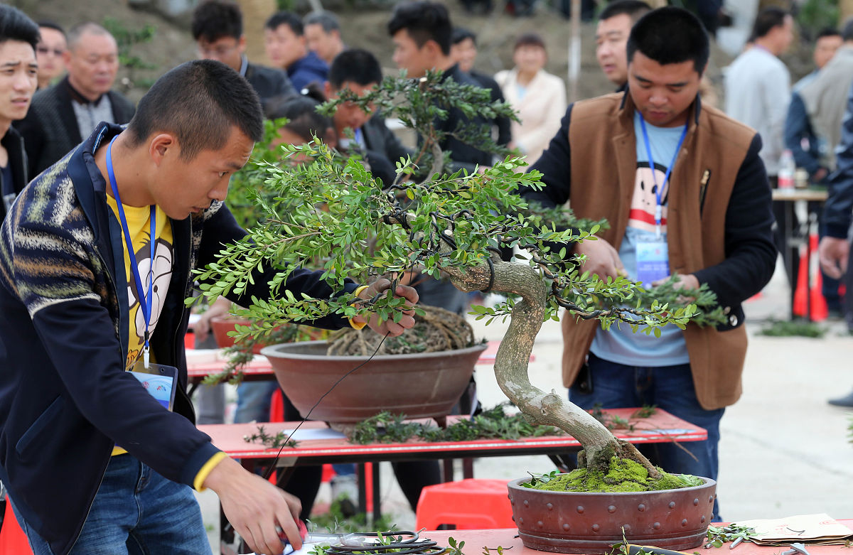 河南淮滨中等职业学校2023年招生电话怎么样
