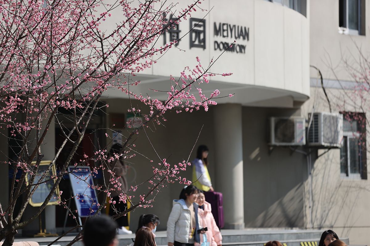 校园疫情防控系统设计与实现研究论文章节安排