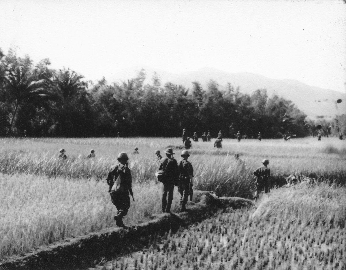 以下面的文章为基础谈谈这个文章带给我们的启示 文章内容为：在《这是一片神奇的土地中》作者站在生命和历史的高度描写一群大地之子的希望与追求痛苦与快乐精神上的贫乏和富有等等。以悲剧为主却在悲剧中注入阳刚让读者佩服主人公们无畏的精神同情他们所遭受的痛苦。四个人物三人死于非命可谓悲剧色彩浓厚他们的死并没有带来悲哀的赞歌而是高扬崇高的阳刚。《土地》中既表现了知识青年们对理想的狂热和盲目追求同时也体现了现实