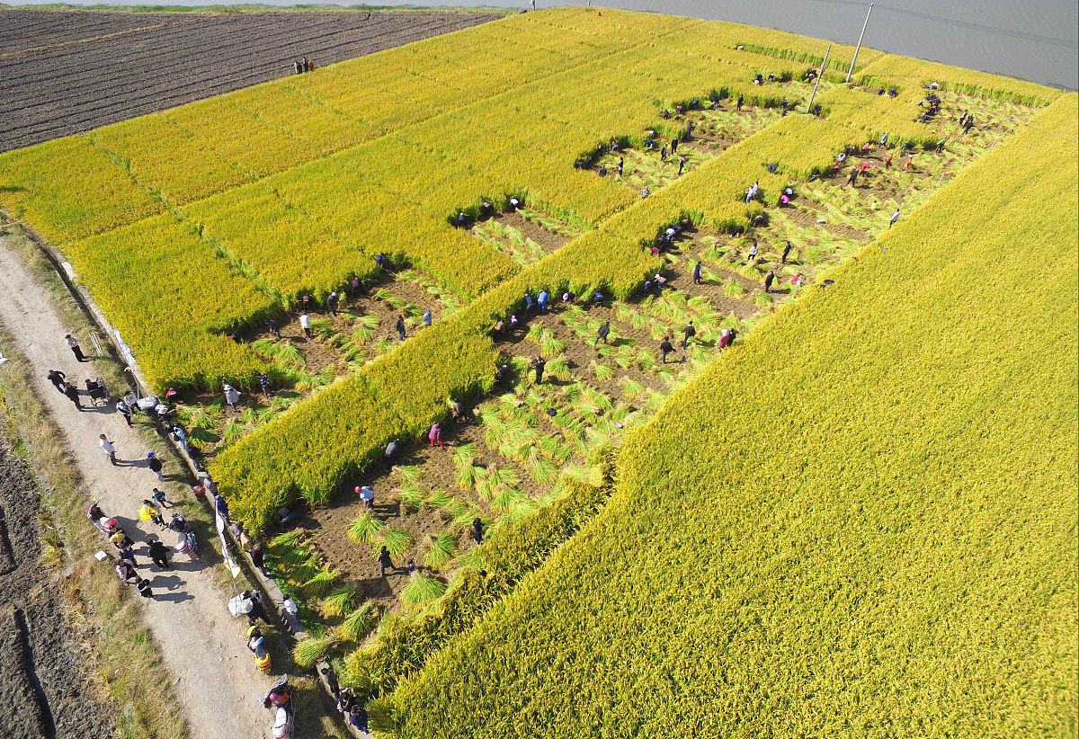 乡村体育：乡村振兴高质量发展的重要引擎