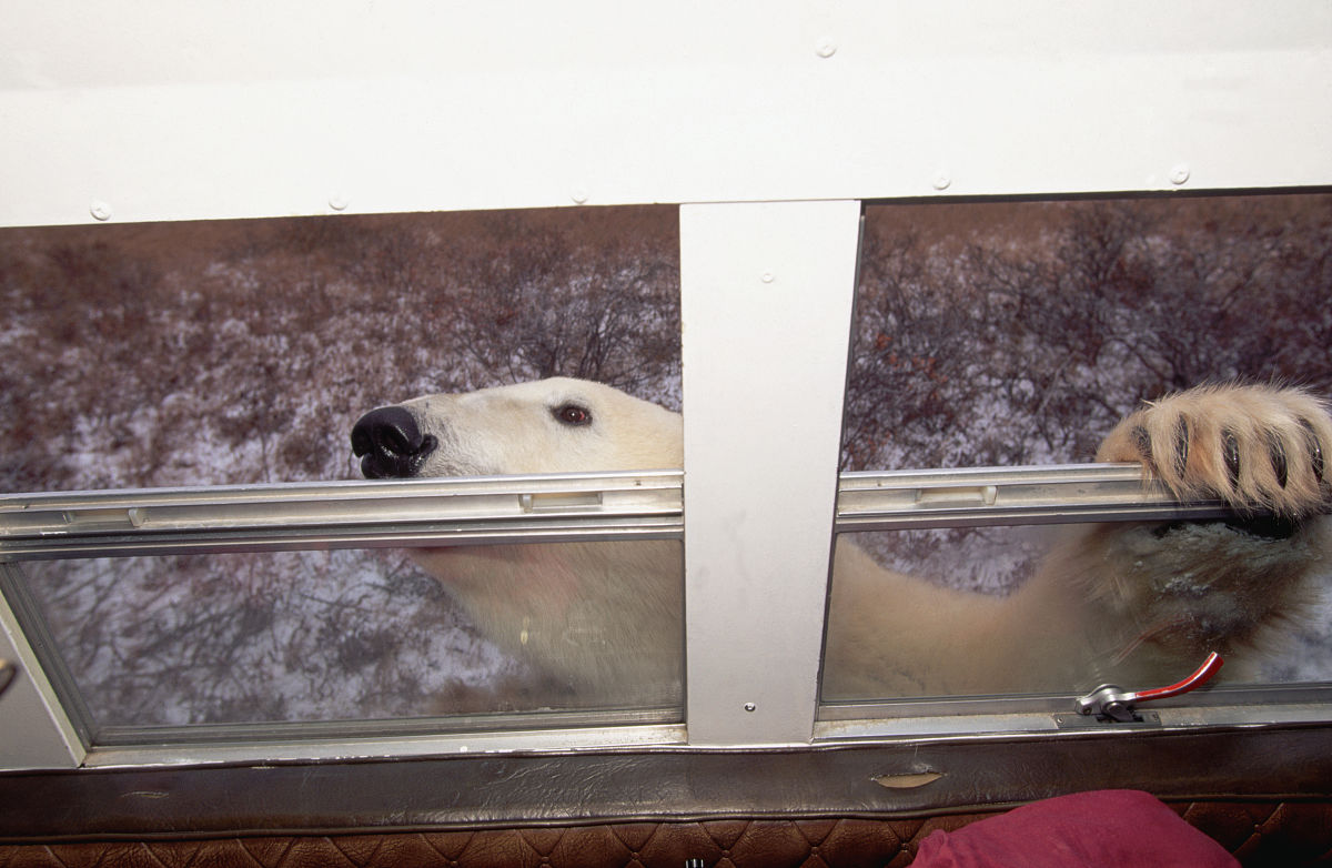 根据下面的内容写一篇500个字文章近日一段视频在网上引发了热议。视频中一名商贩在街头叫卖不锈钢棺材声称这种棺材是用高质量的不锈钢制作的可以防腐、防水、防虫、防火而且价格便宜只要几千元就可以买到。商贩还说这种棺材可以让死者安息也可以让活着的人省心。这一场景让不少路人和网友感到惊讶和好奇也让人们不禁思考商贩街头叫卖不锈钢棺材是一种创新还是一种亵渎呢？首先商贩街头叫卖不锈钢棺材可以看作是一种创新。不锈