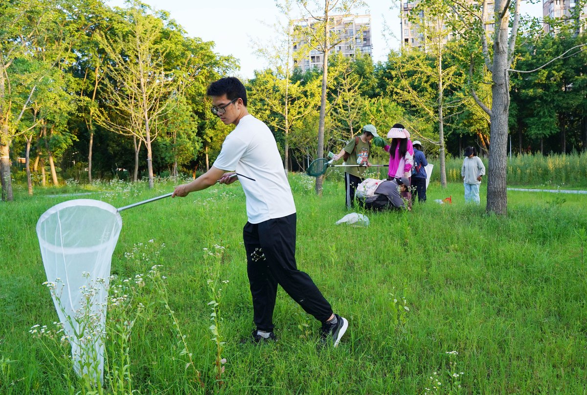 校园卫生大整治和杂草清理工作，为学生开学营造良好的卫生环境