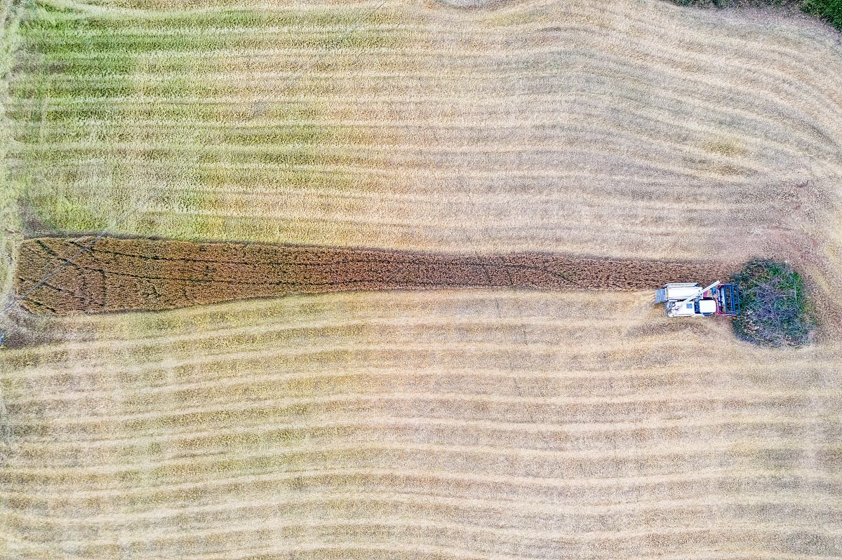 绵阳市游仙职业技术学校招生办联系电话地址