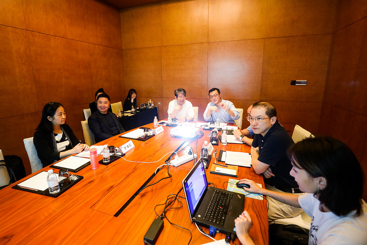 中兴财光华会计师事务所审计人员胜任能力不足的表现