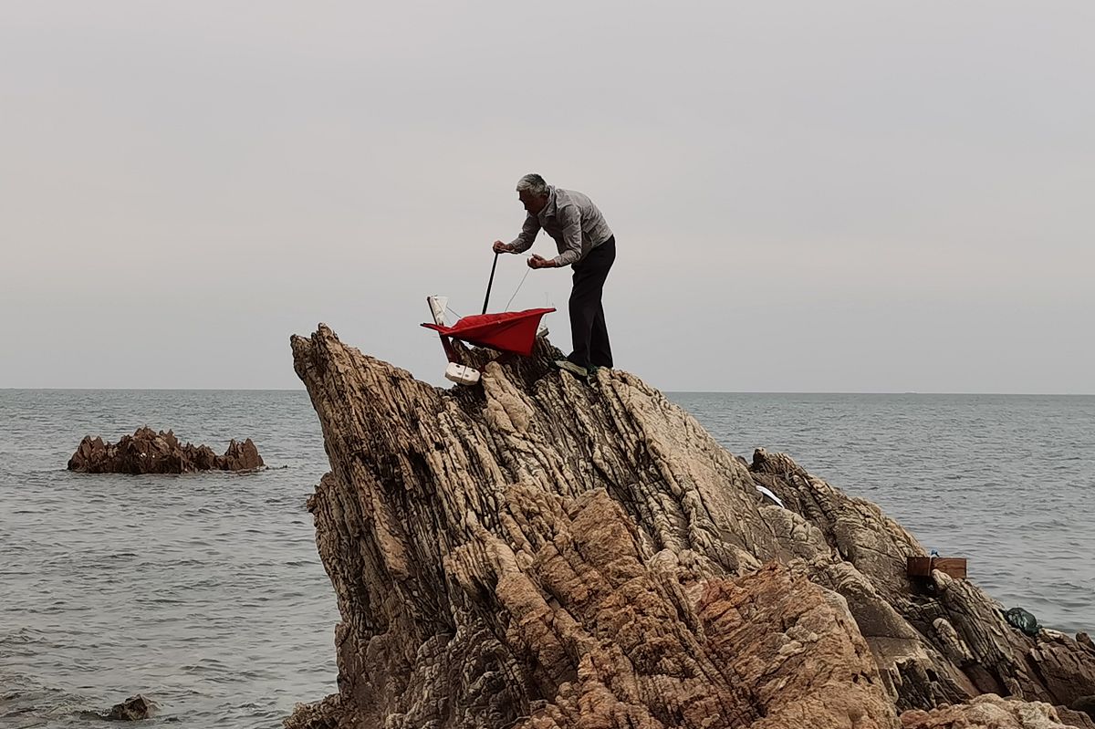 七秒鱼的感情寓意