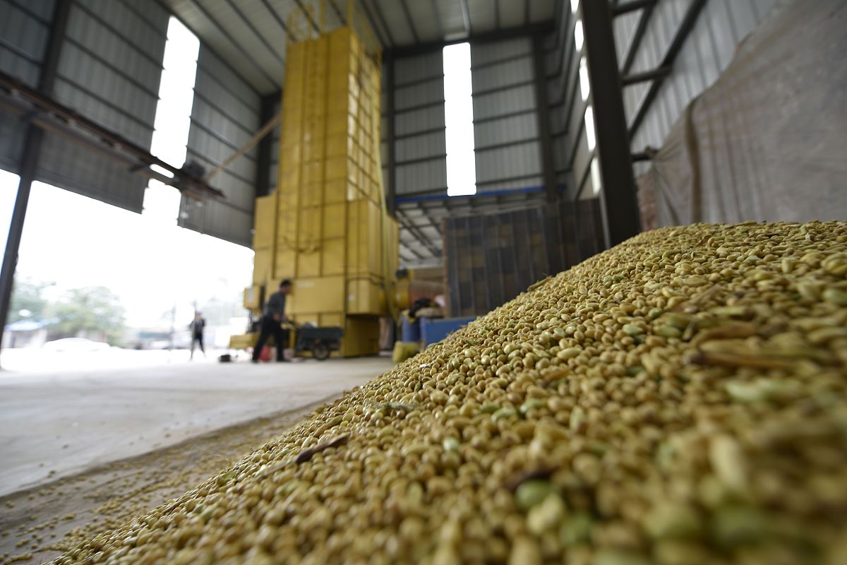 请帮修正润色今天早上我们再次登轮对货物进行了进一步检验我们发现如下1	从舱口围目视检查了货舱内货物发现4舱内变色层已经被全部卸出。25舱由于卸货量较少靠近顶层的变色层仍然可见。另外货舱内部分区域货物因混有大量豆荚和碎屑杂质等也会呈现不同颜色并且货物流动性非常差。2	随后我们进入货舱近距离检查了舱内货物发现部分货物内混有大量碎屑或豆荚导致局部呈现白色棕色甚至黑色。同时我们注意到货物内混有少量黑色的碳