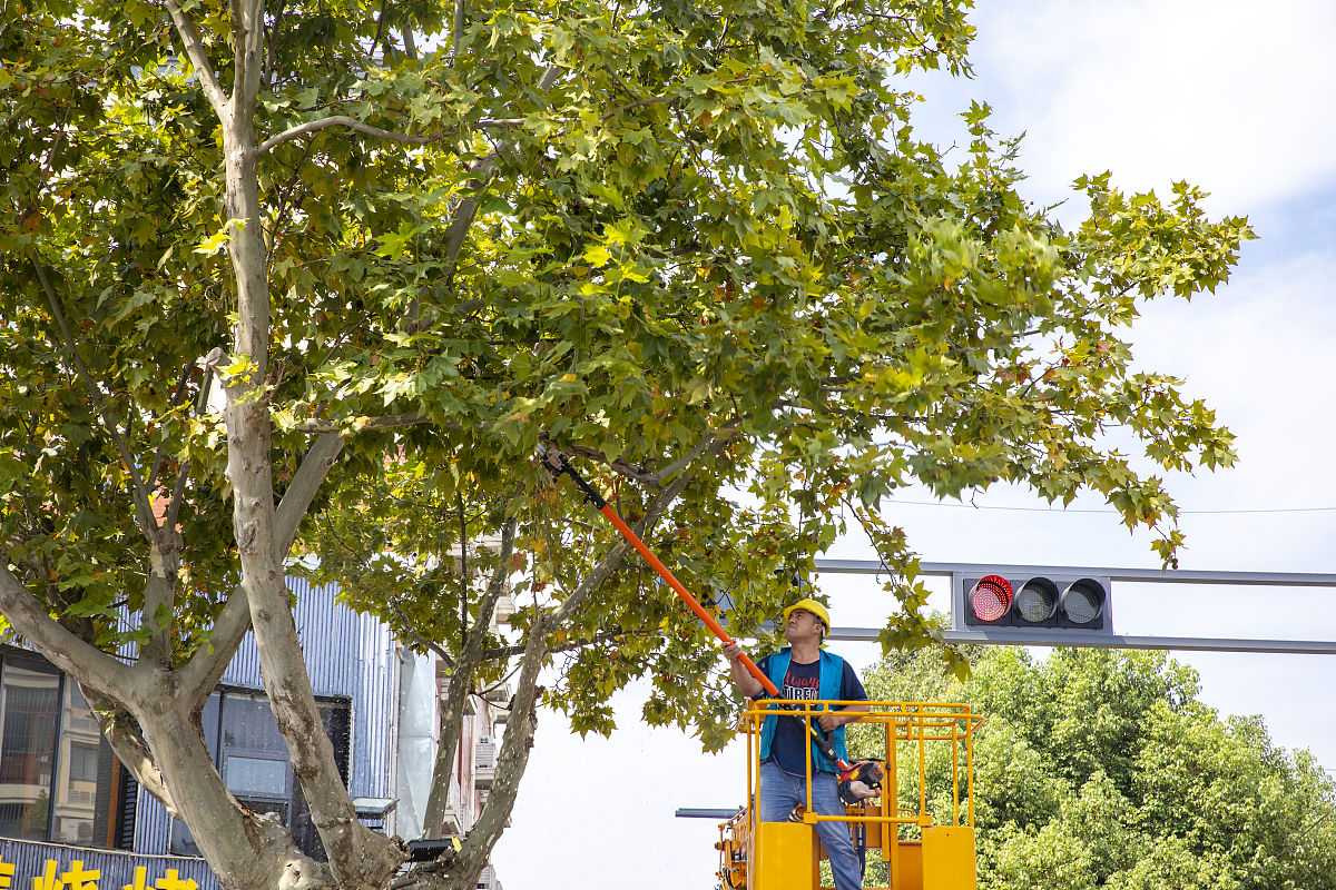 贵州大学园艺专业招生：培养高素质园艺人才，开启美好未来