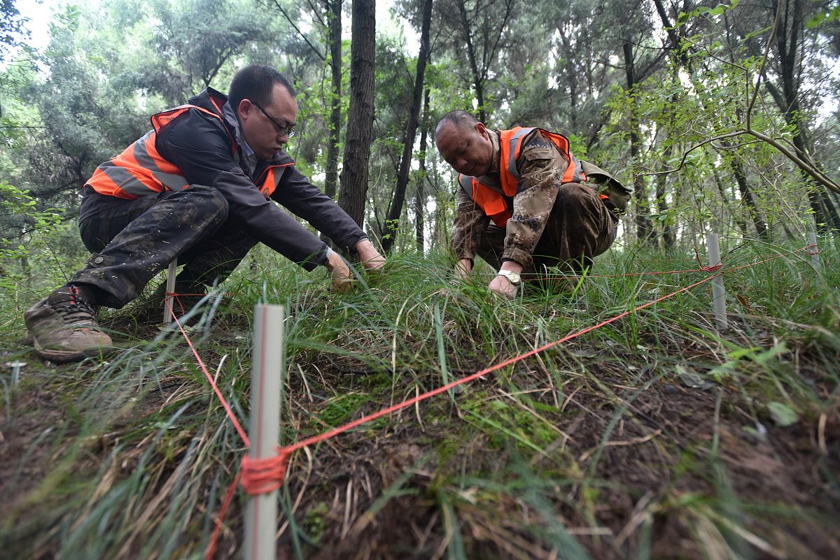 林业方面乔木林面积和蓄积有无相关换算关系能否根据乔木林面积估计蓄积的数值
