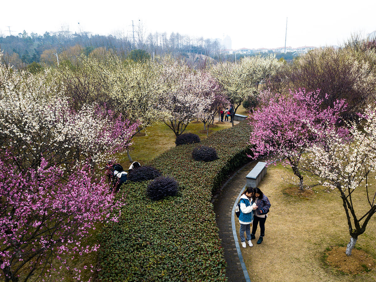 淮阳梅园可以烧烤吗帮我用210字详细描述