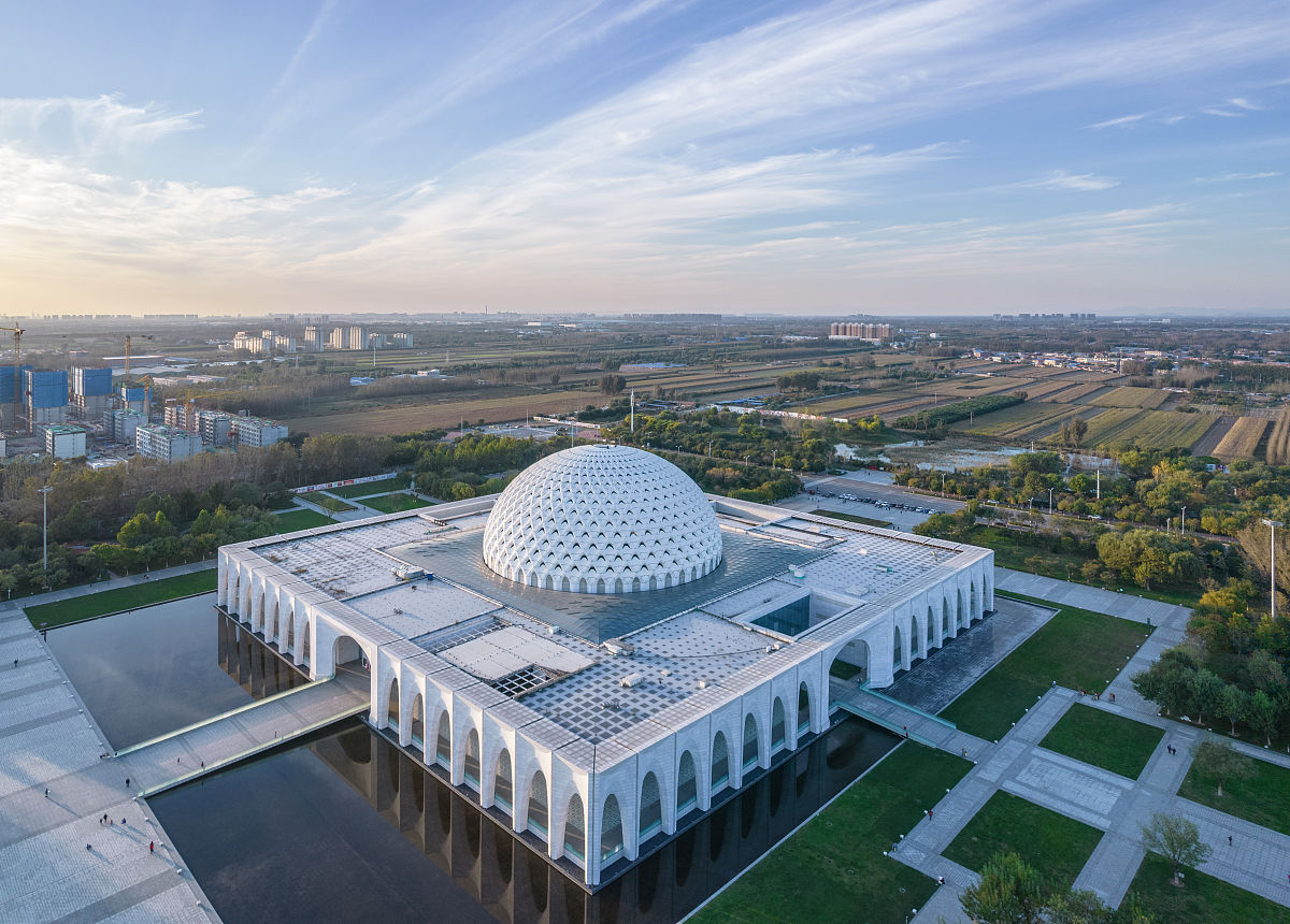 河北哪所学校开设了中药专业？