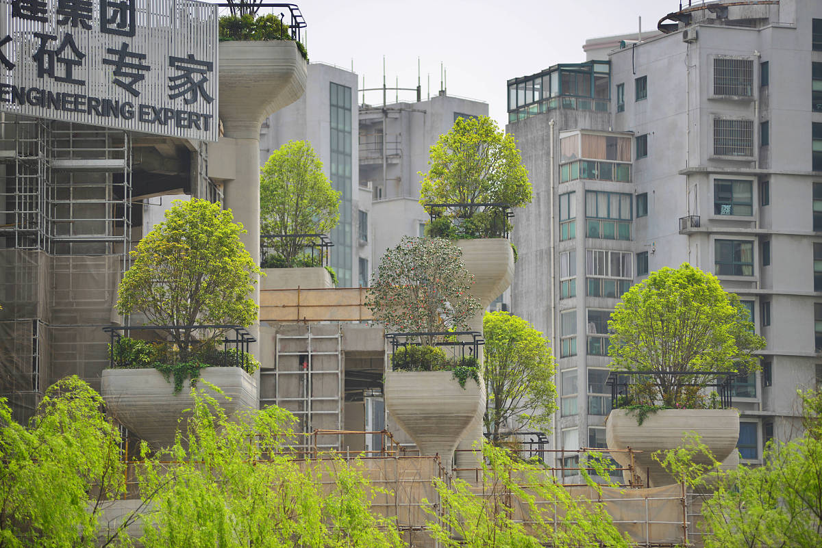 古巴比伦王国怎么获得公民权