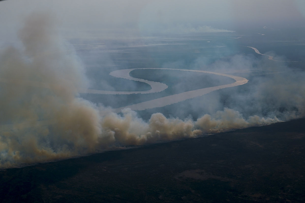 倒春寒的影响：对农业和物候的意义解析