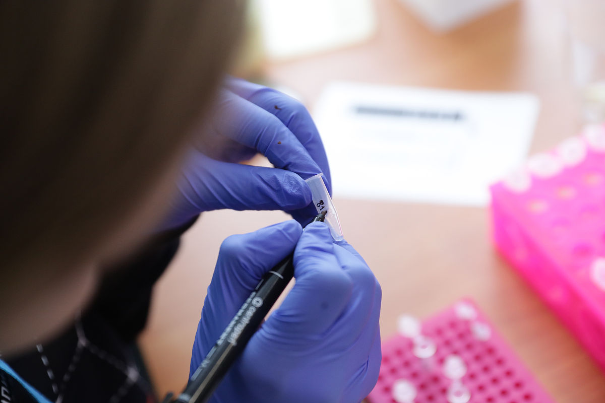 云南科技信息职业学院财务管理专业解读：2019年课程设置与教学模式