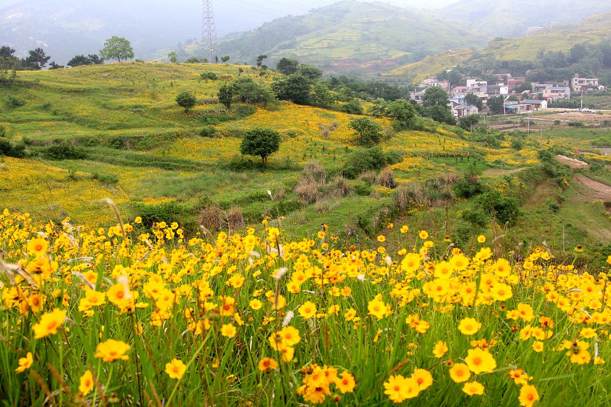 孝感卫校2022年招生简章 - 护理、影像等专业火热招生中！