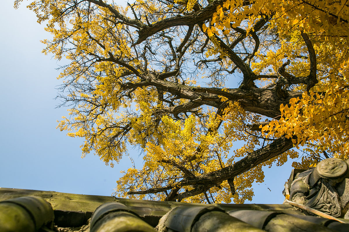 贵州省毕节卫生学校2019年护理专业招生简介