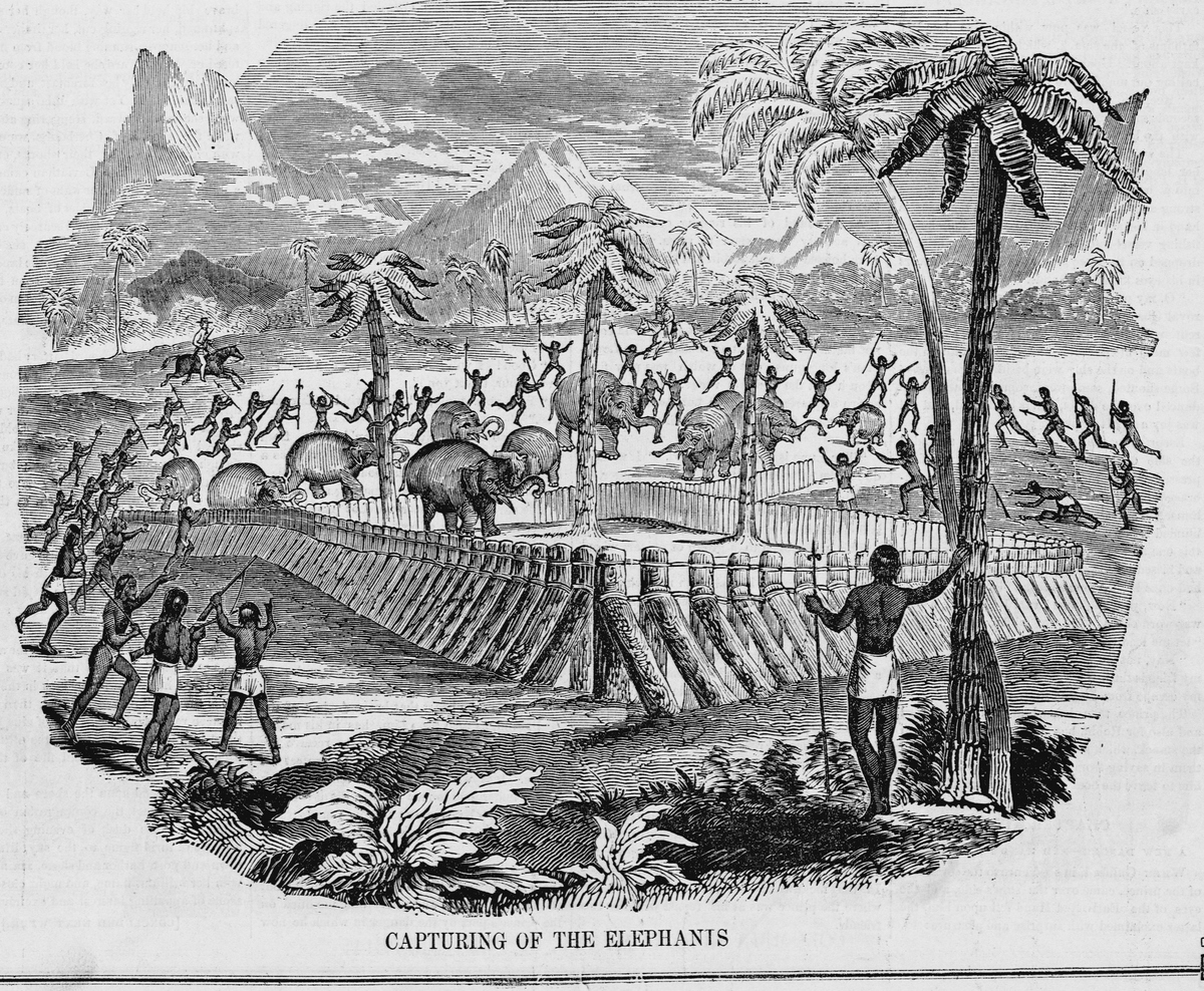 人类简史的基本观点