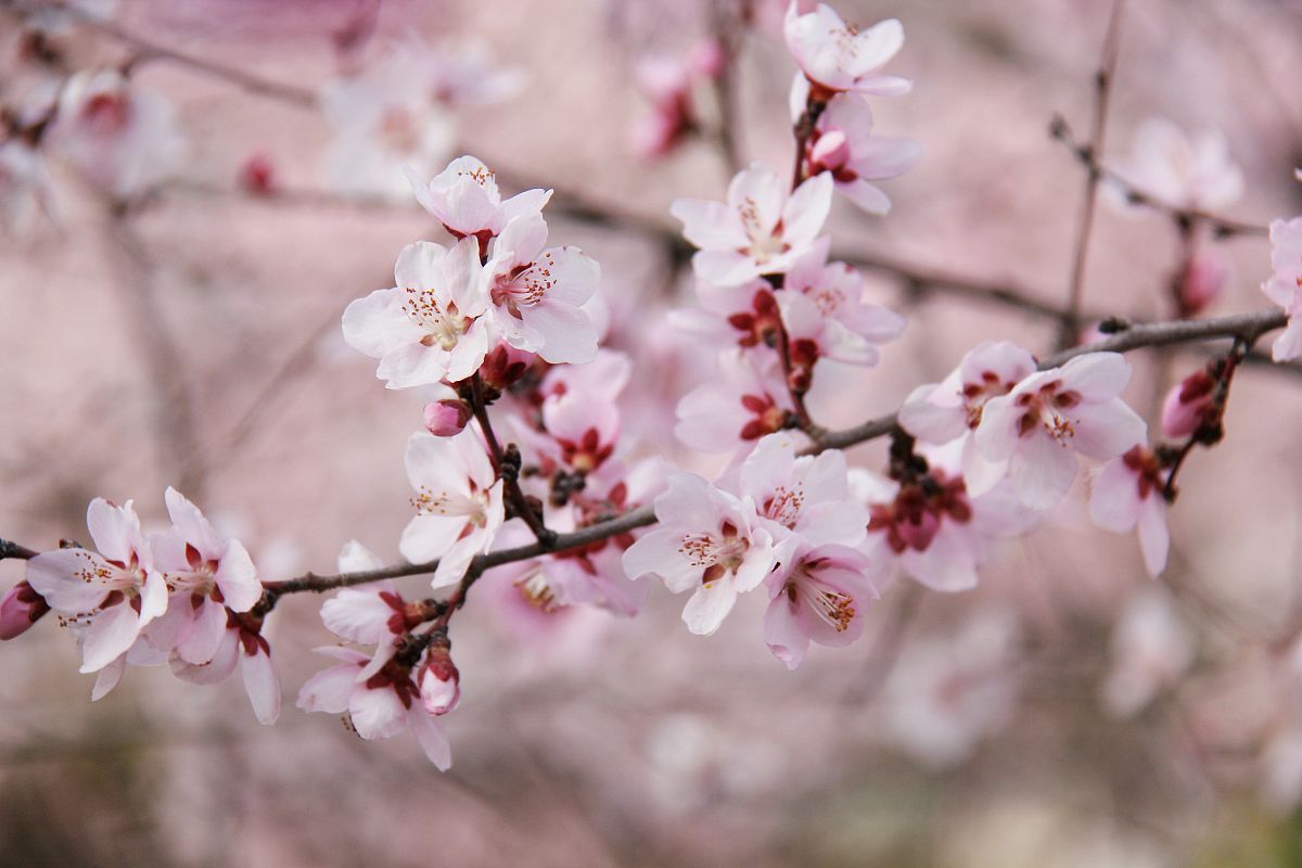 定西工贸中等专业学校2023年招生简章 - 培养技能型人才，助力地方发展