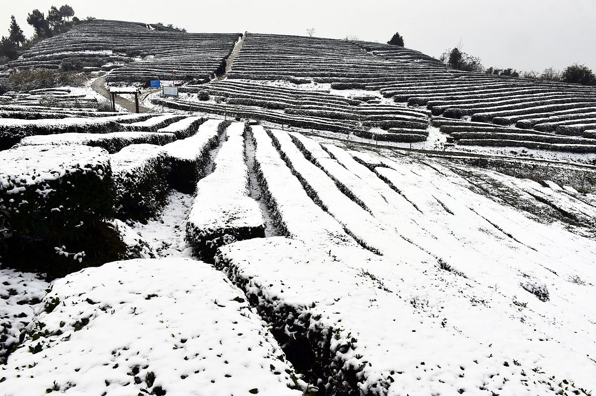 重庆万州技师学院2022年开设了什么专业