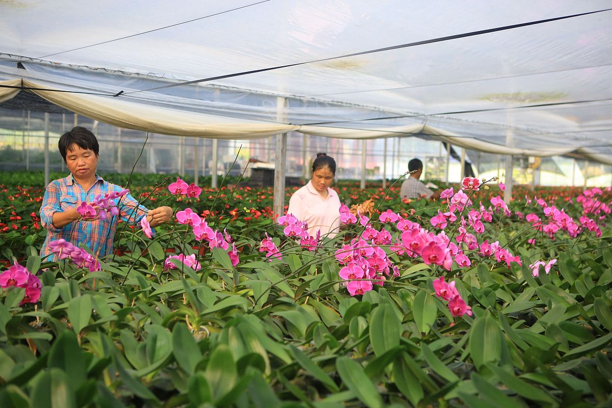 贵州盛华职业学院2019年招生简章 - 高素质应用型人才培养基地