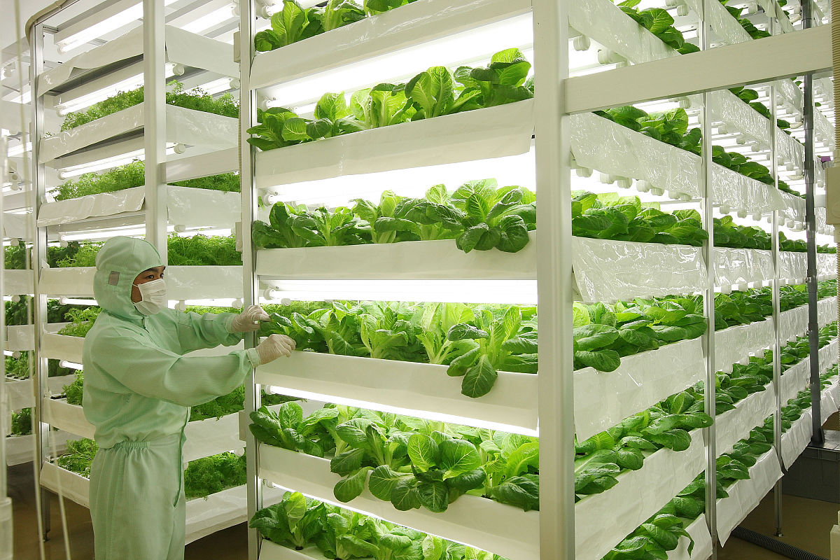 雅阁汽车的企业文化和社会责任怎样？