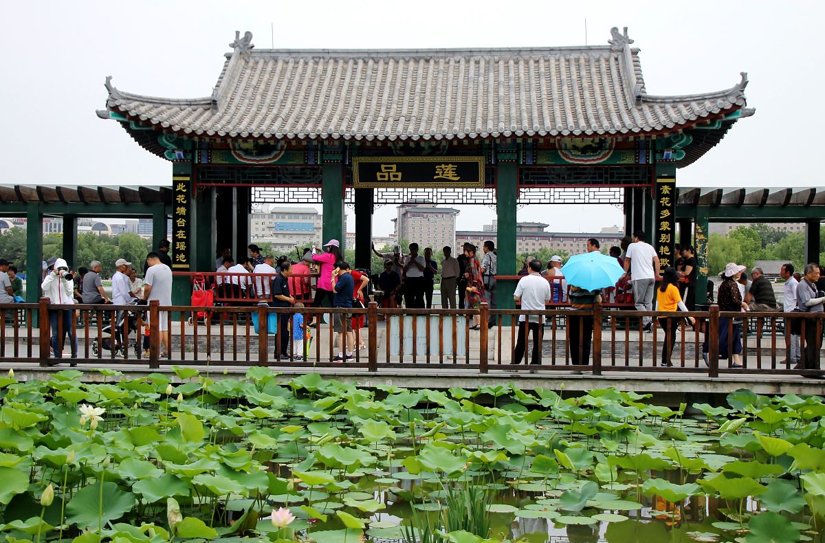 菏泽一日游推荐：500元3车13人玩转周边景点