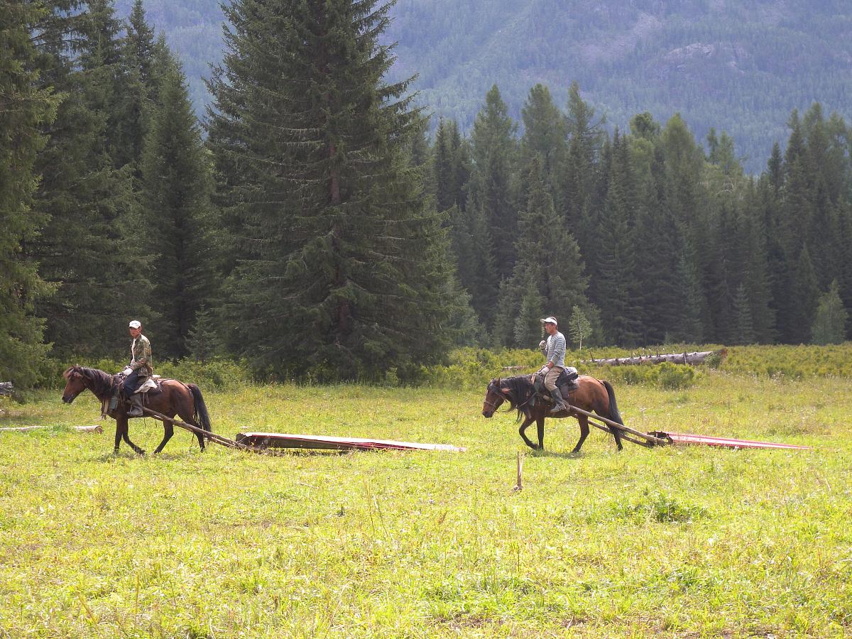 喀纳斯景区的功能分区按照一心两翼方法归纳并详细阐述一心与两翼分别是指什么