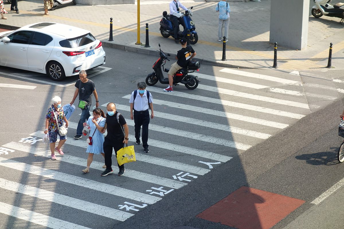 翻译：道歉于斑马线错误