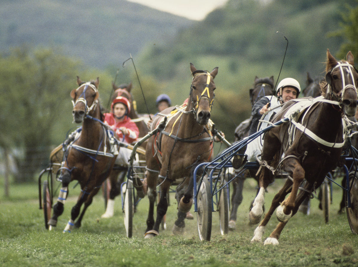 knighton, wales - may 18: trotting racing pictured during a trot