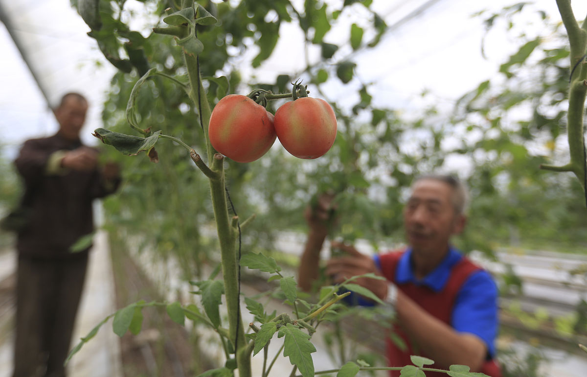 日语语法解析：栅栏構造を用いて データ分析 - 重庆市区危险度和死亡率分析