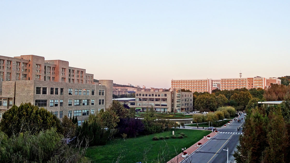 大连工业大学艺术与信息工程学院电子商务专业怎么样？