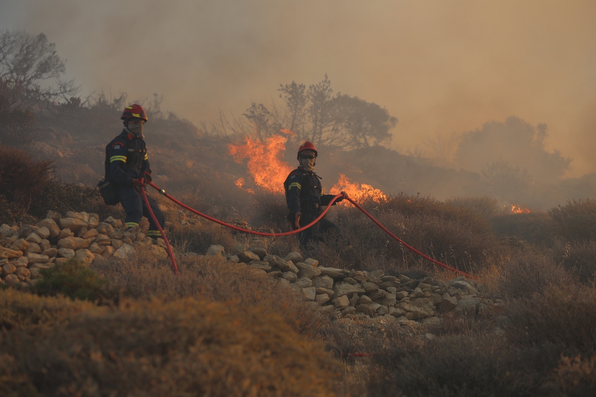 森林消防专业介绍