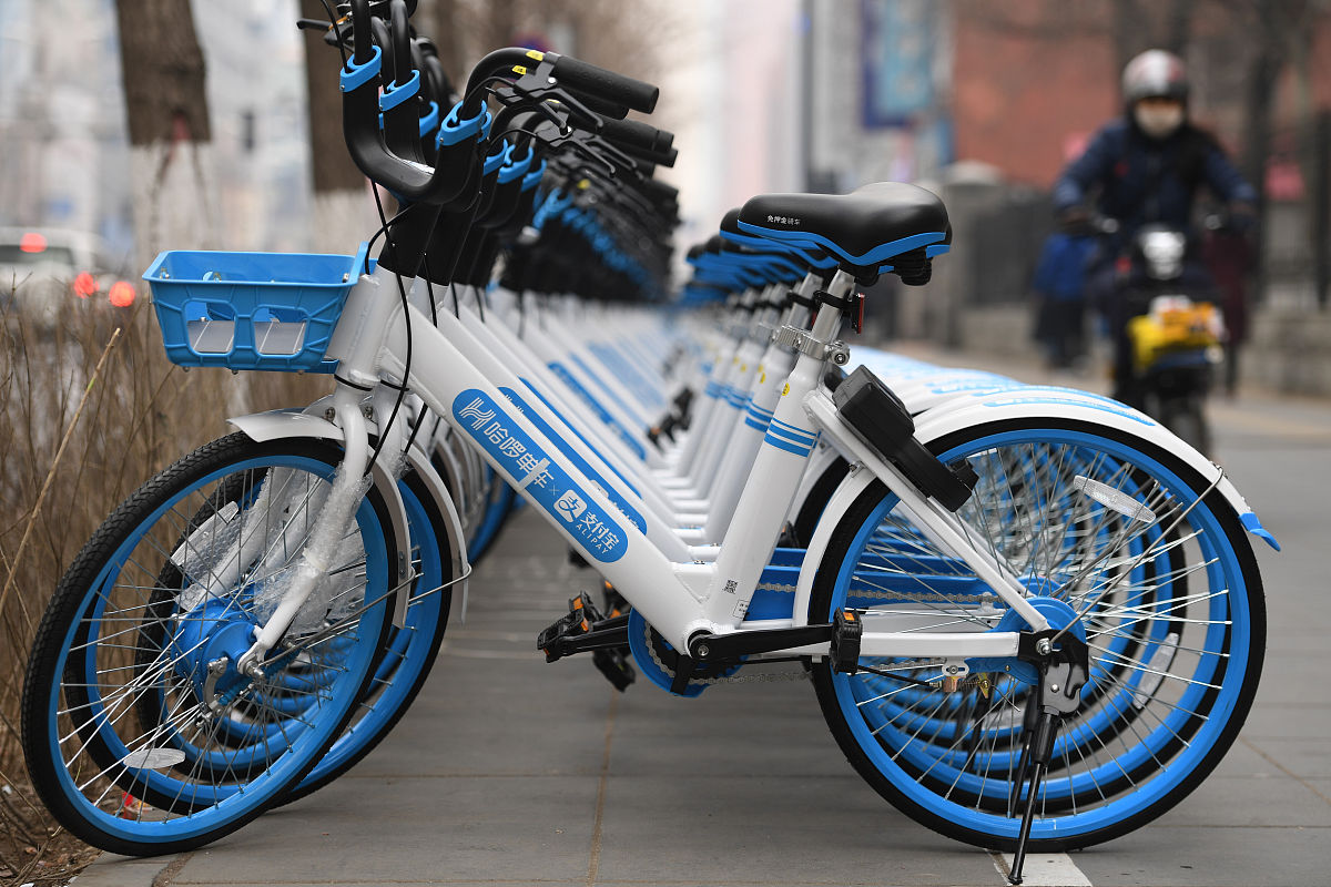 临海海商职业技术学校地址及乘车路线 - 2023年最新指南