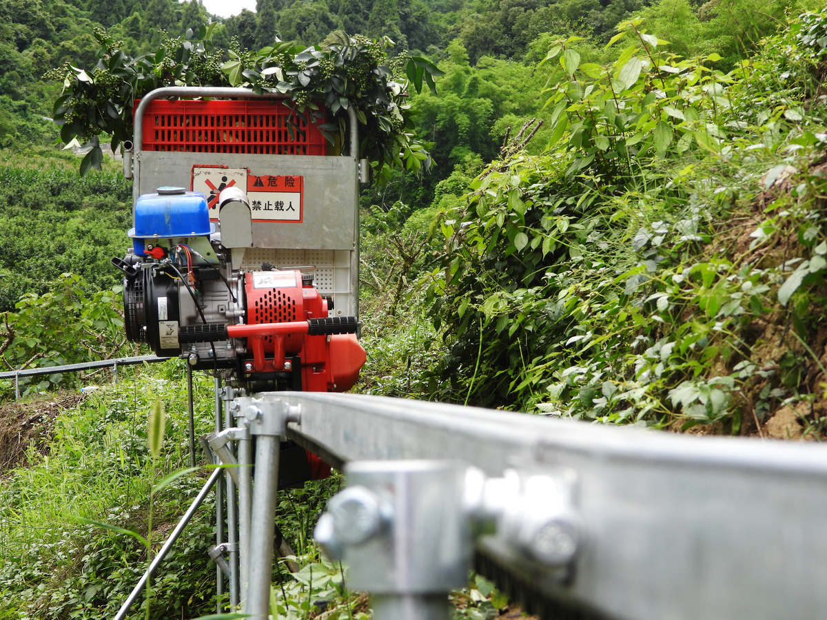 写一篇关于花椒采摘机器的大创申报书