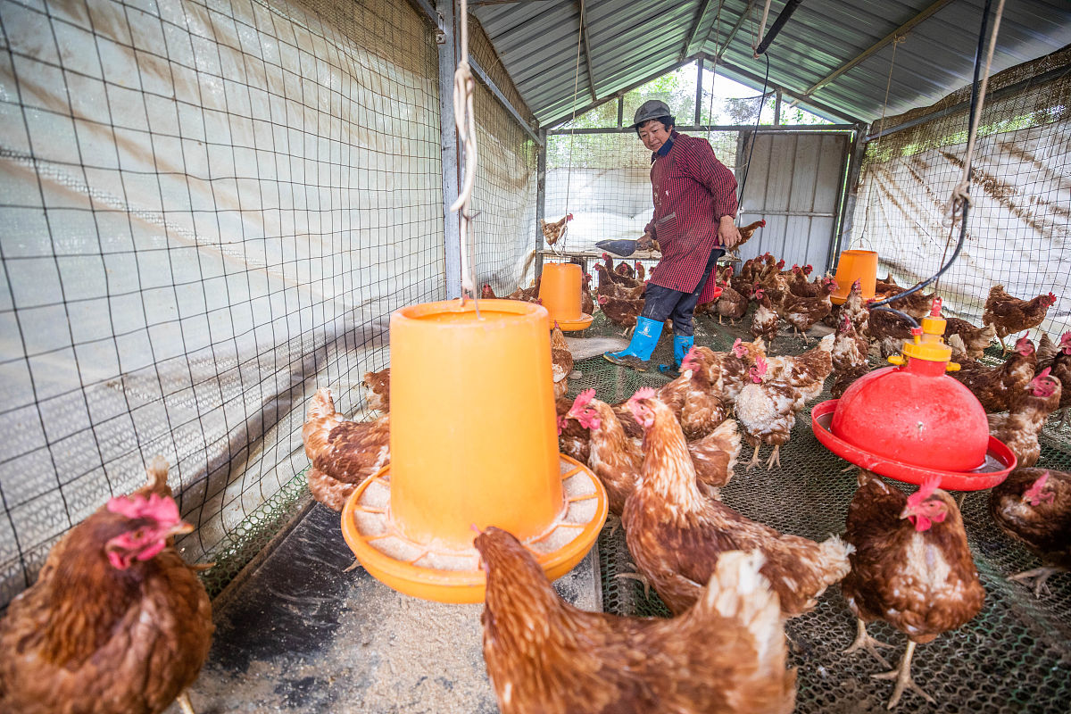 毕节幼儿师范学校2022年招生专业是什么