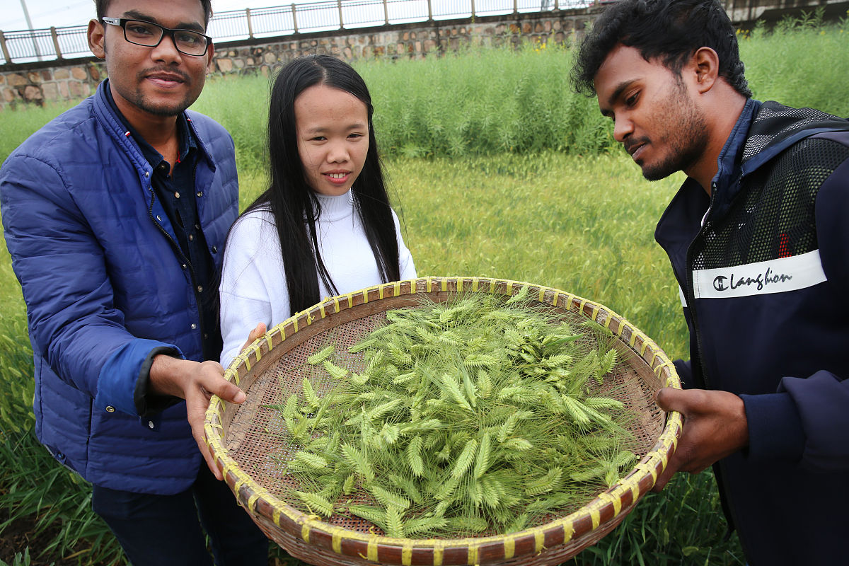 铁岭卫生职业学院中药制药技术专业怎么样