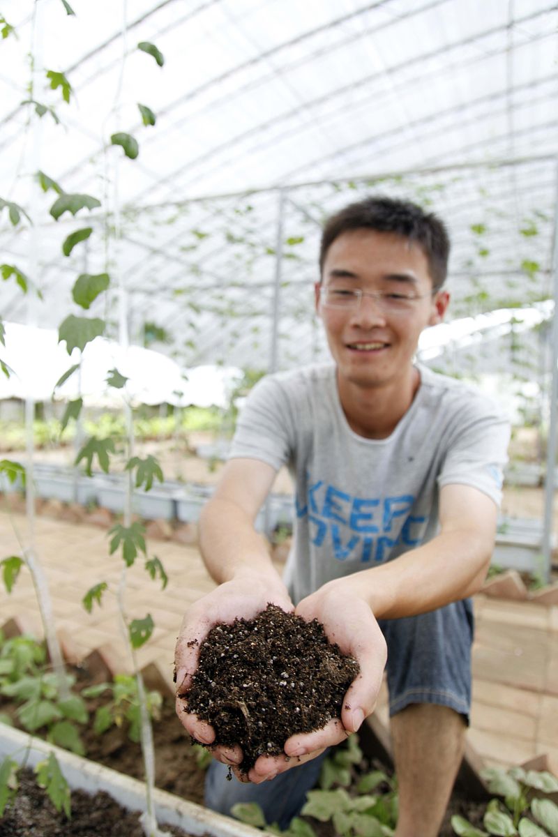 可提取氮是有效氮吗