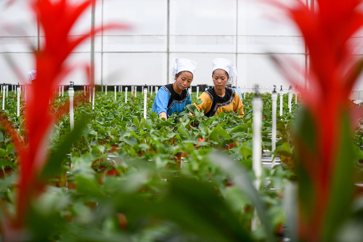 贵州职校农村电气技术专业就业前景分析：好就业吗？
