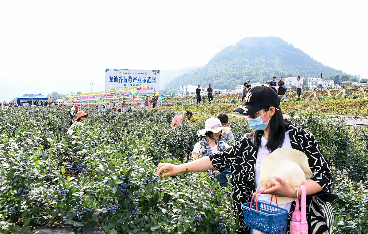 巴中柳江职业技术学校招生专业有哪些？环境怎么样？