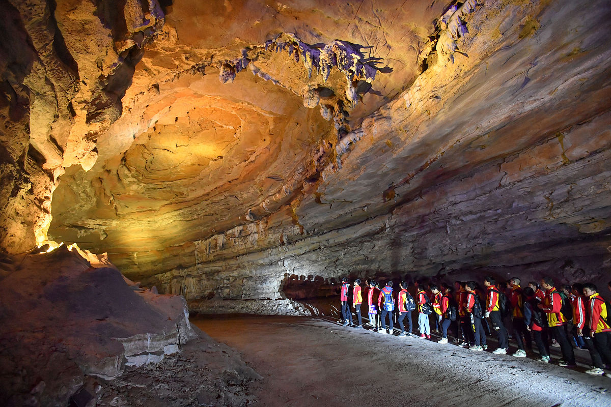 2023年贵州省林业学校春季招生专业与计划