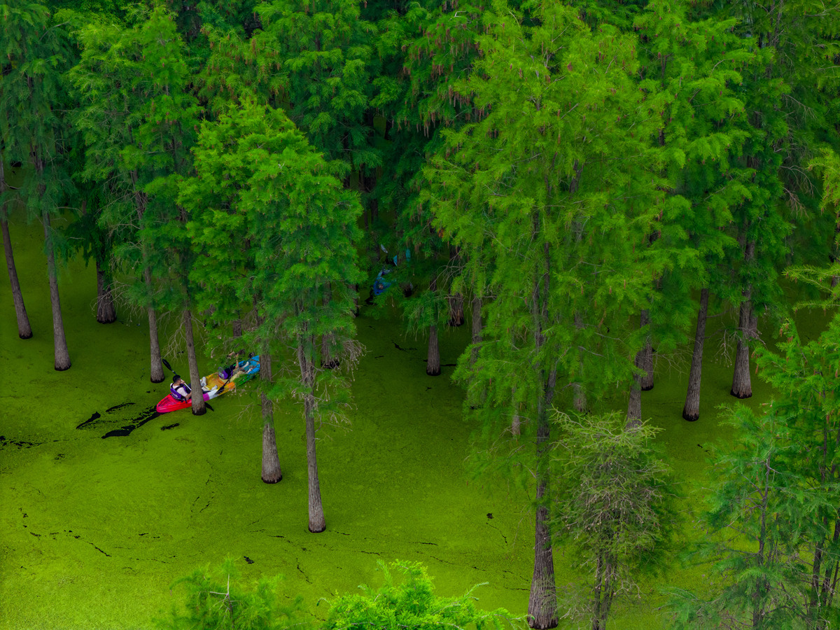 有少数学者研究不同季节人类活动对生态环境的影响文献综述
